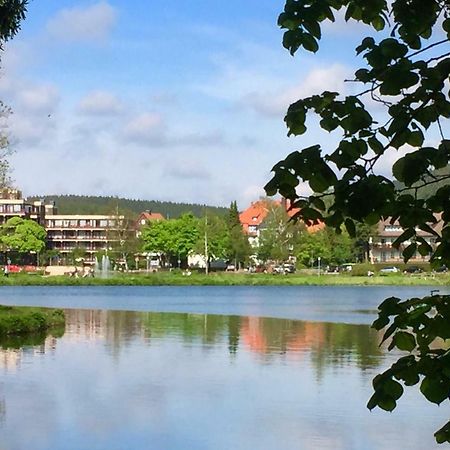 Seesicht Appartements Am Kranichsee Goslar Eksteriør billede