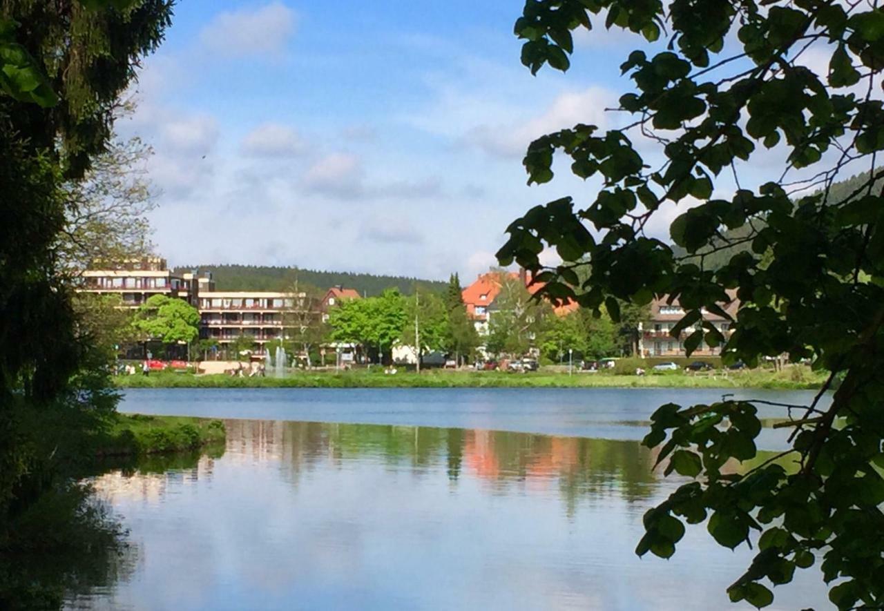 Seesicht Appartements Am Kranichsee Goslar Eksteriør billede