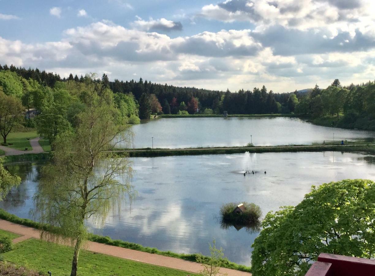 Seesicht Appartements Am Kranichsee Goslar Eksteriør billede