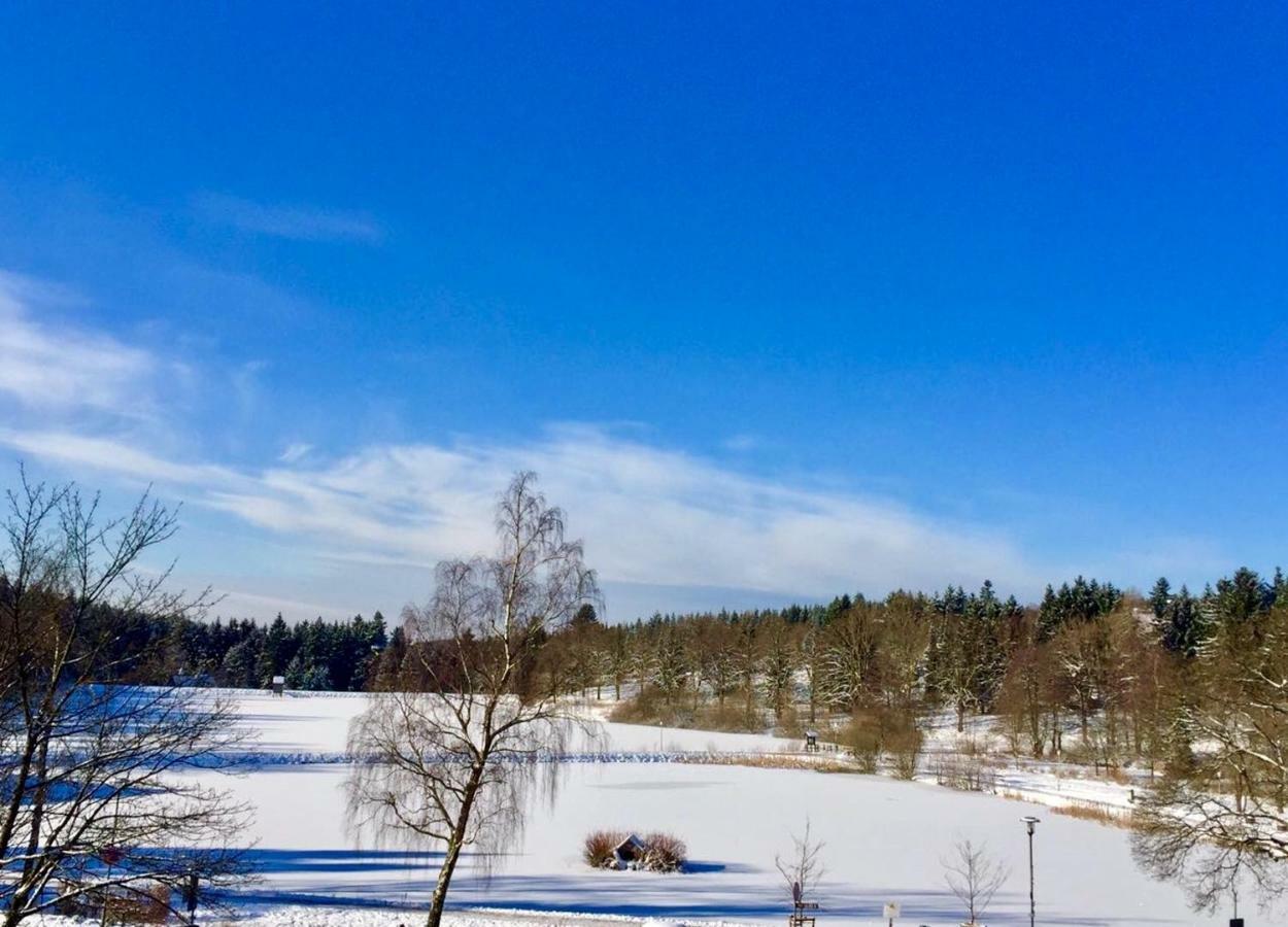 Seesicht Appartements Am Kranichsee Goslar Eksteriør billede