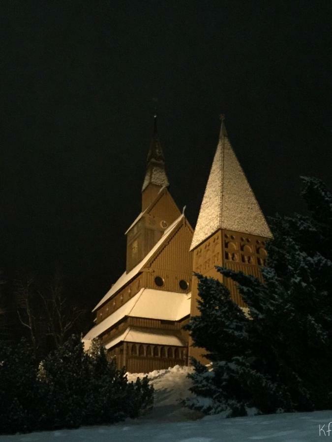 Seesicht Appartements Am Kranichsee Goslar Eksteriør billede