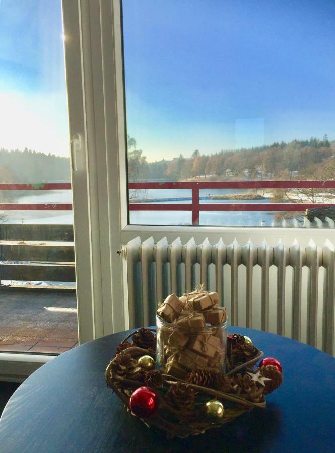 Seesicht Appartements Am Kranichsee Goslar Eksteriør billede